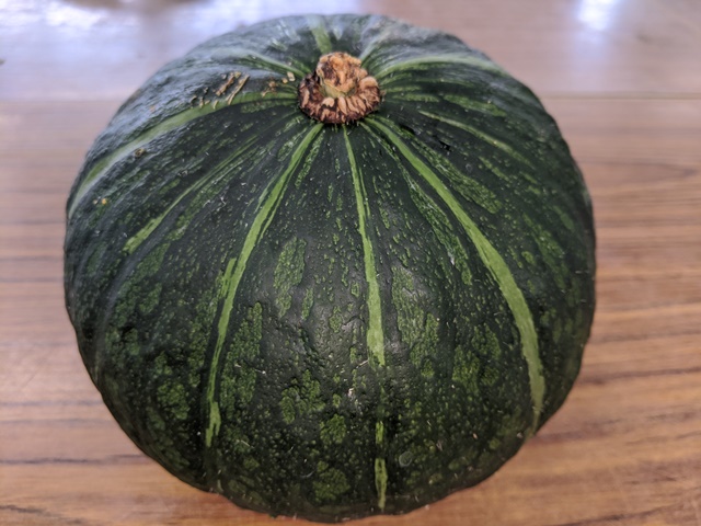 ８月のイベント案内 世羅自社農場 エブリイふぁ む で夏野菜の収穫体験 エブリイマガジン エブリイ