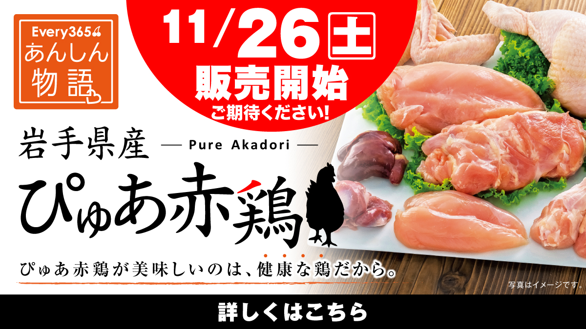 Amazon.co.jp: マジック:ザ・ギャザリング イコリア:巨獣の棲処