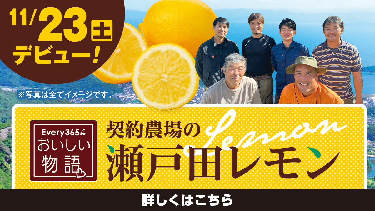 魔人ぷぅ 瀬戸田レモン 特別栽培 国産 三級品 箱込み15キロ 11月23日(土)デビュー！】「おいしい物語 契約農場の瀬戸田レモン」が